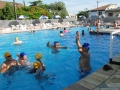 AVM 2015 (14).JPG