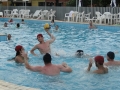 AVM 2015 (3).JPG