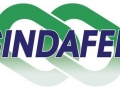 sindafep.jpg